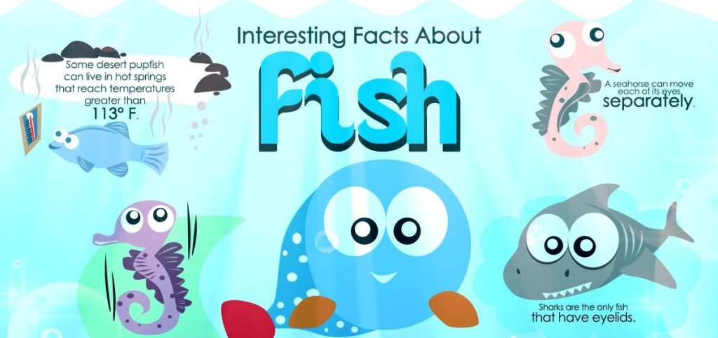 Faktai Apie Žvejybą