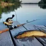 lydekų žvejyba vasarą